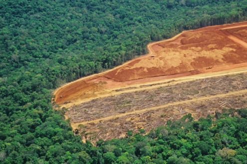 Deforestation in the Amazon. Half of picture is pristine forest, half cleared flat.