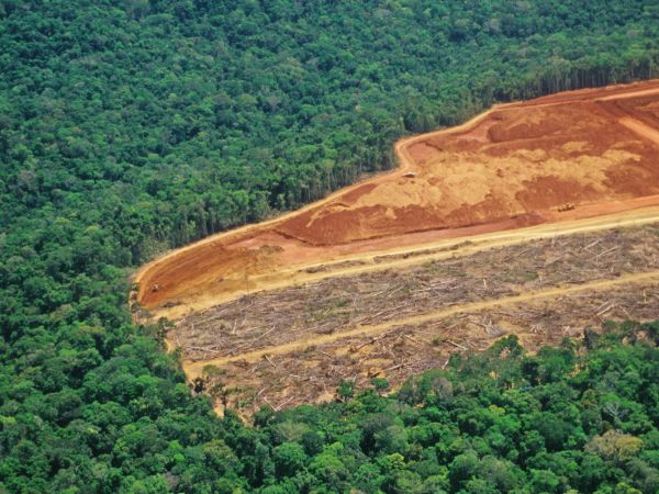Deforestation in the Amazon. Half of picture is pristine forest, half cleared flat.