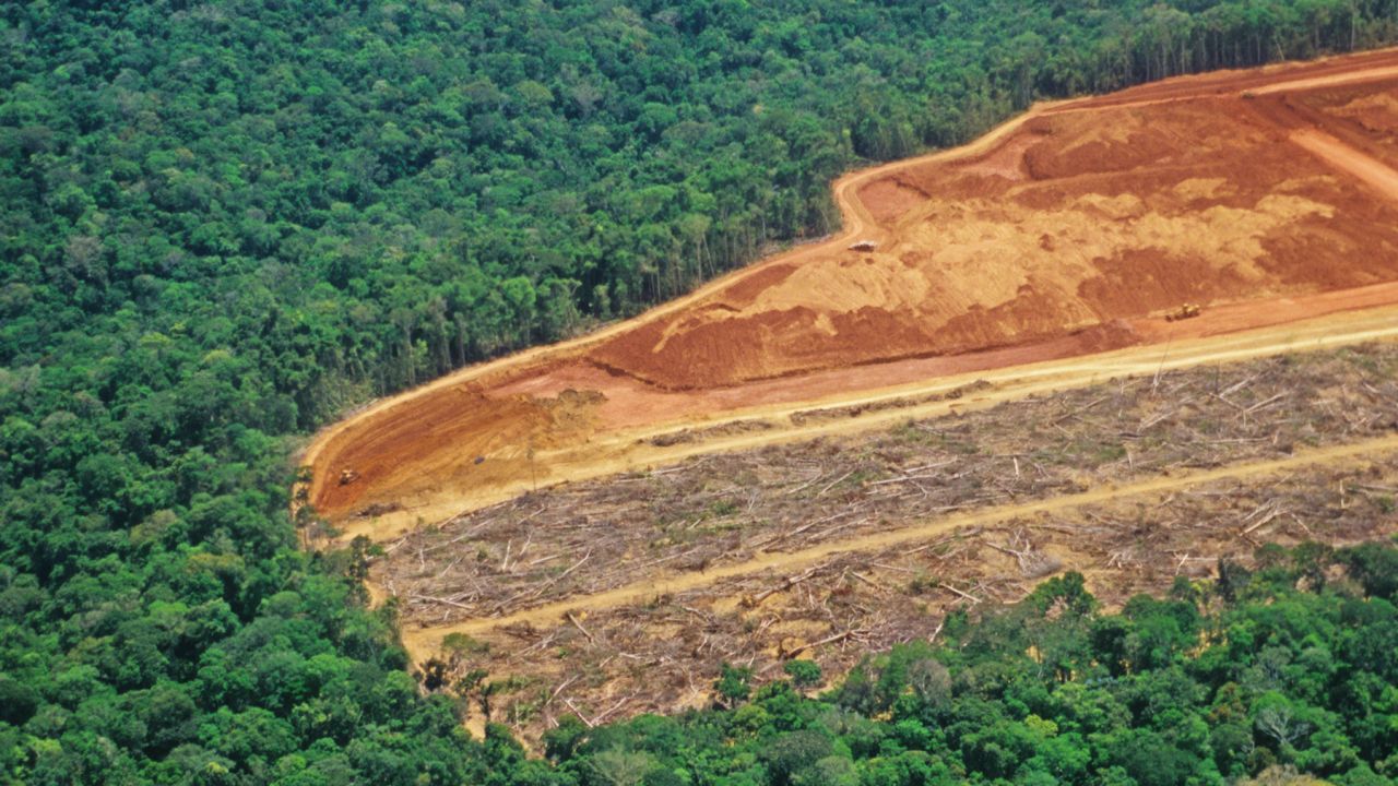 Deforestation in the Amazon. Half of picture is pristine forest, half cleared flat.