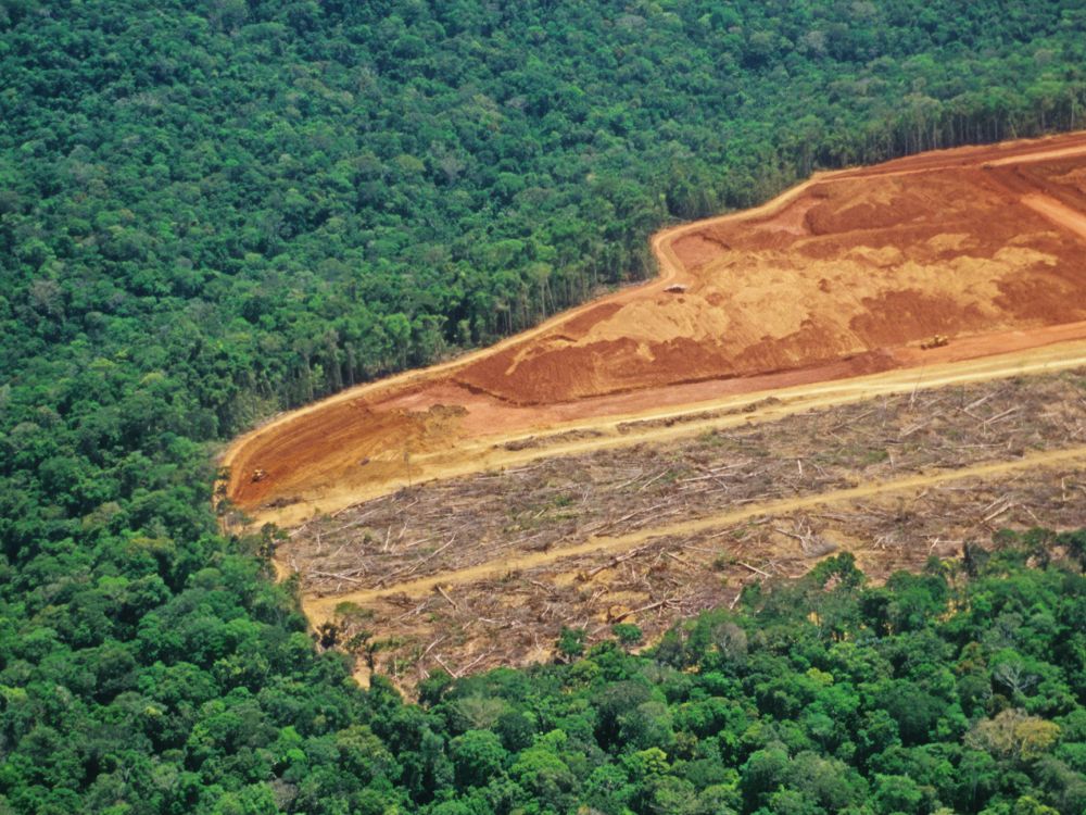 Deforestation in the Amazon. Half of picture is pristine forest, half cleared flat.