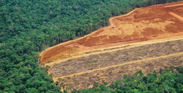 Deforestation in the Amazon. Half of picture is pristine forest, half cleared flat.