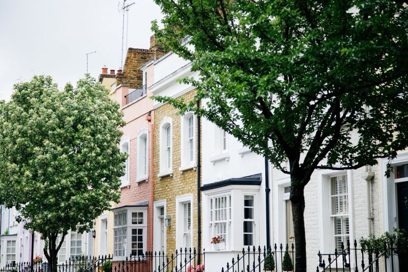 Tree-lined street