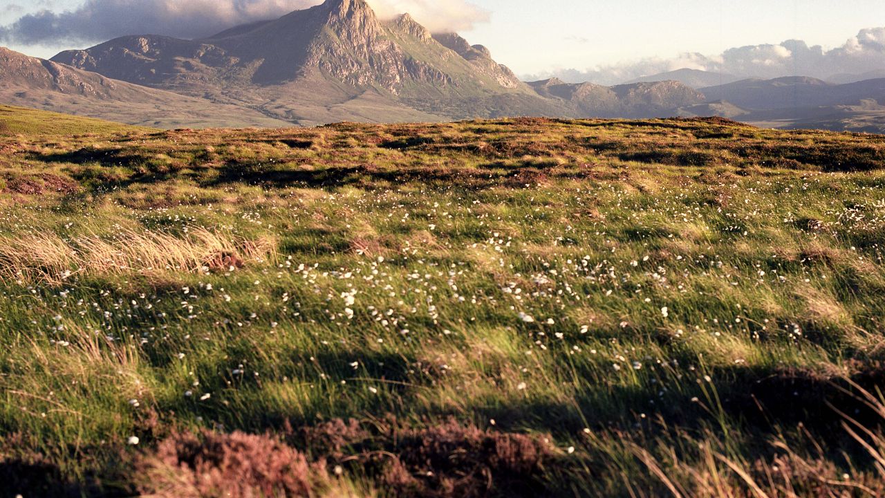 photo of Scottish moorland and mountains