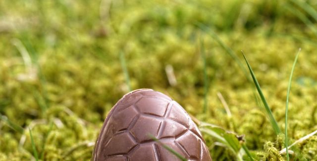 Unwrapped chocolate Easter egg, outdoors on mossy ground