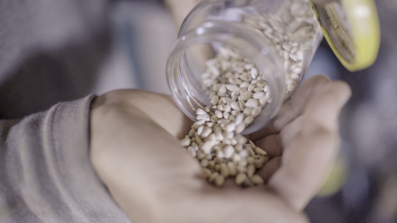A close up photo of a container of seeds being emptied on someone's hand