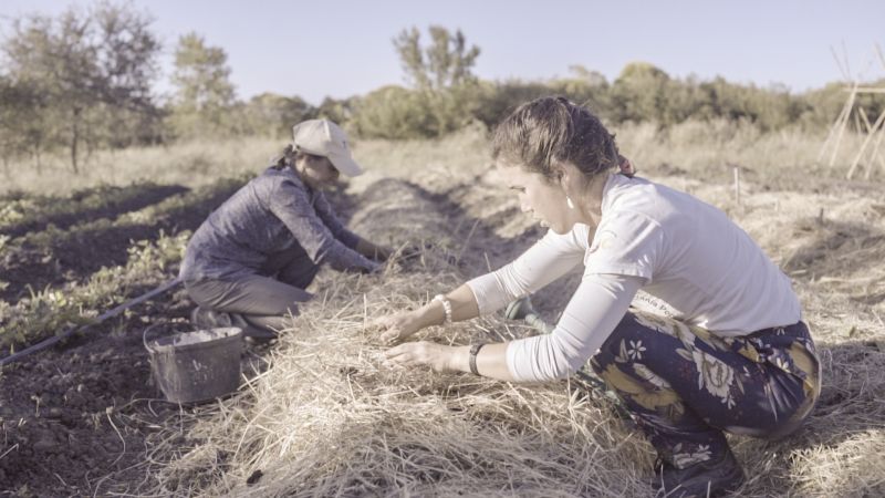 Two young women farmers kneeling down on the ground and tending to farming duties.