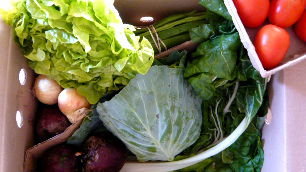 Essential organic vegetable box from Abel & Cole with lettuce, cabbage, onions, beets, tomatoes and greens.