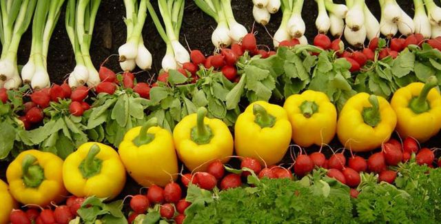 spring onions, yellow peppers and leafy veg lined up