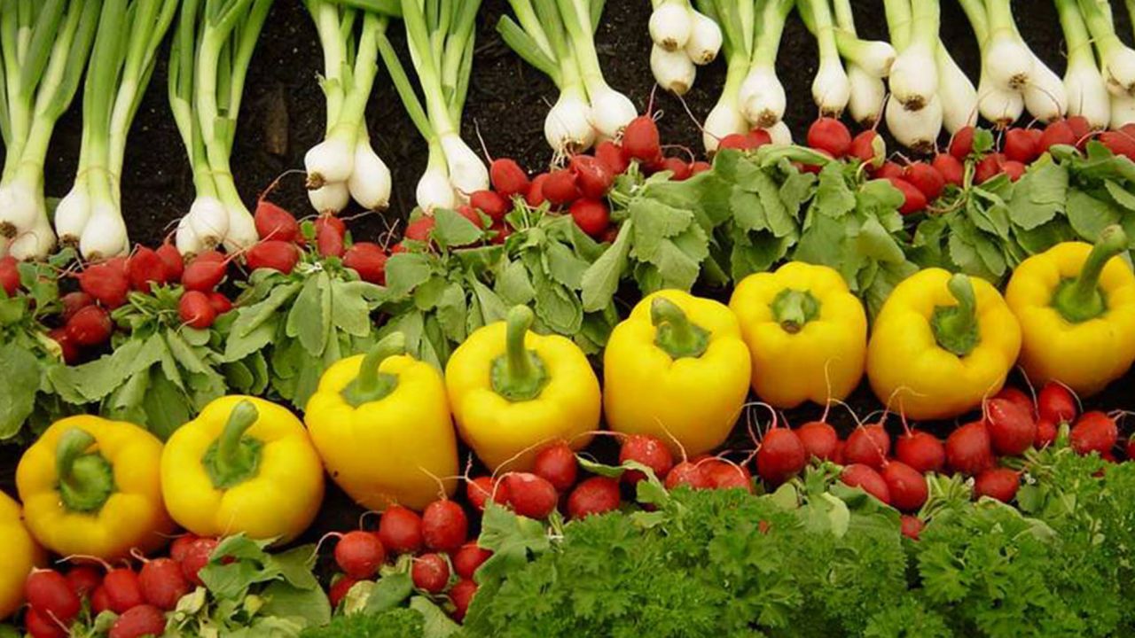 spring onions, yellow peppers and leafy veg lined up