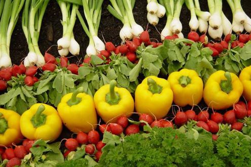spring onions, yellow peppers and leafy veg lined up