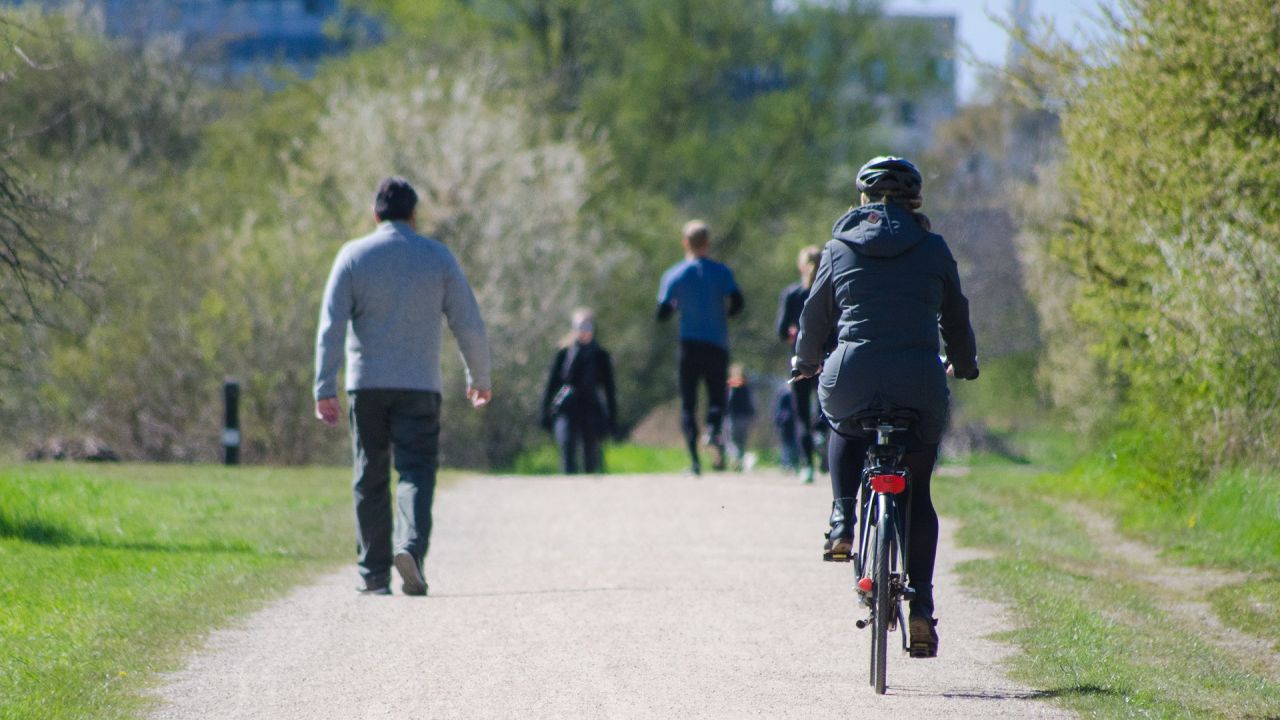 People walking and cycling in a park