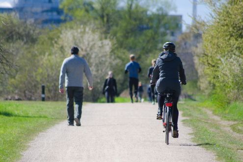 People walking and cycling in a park