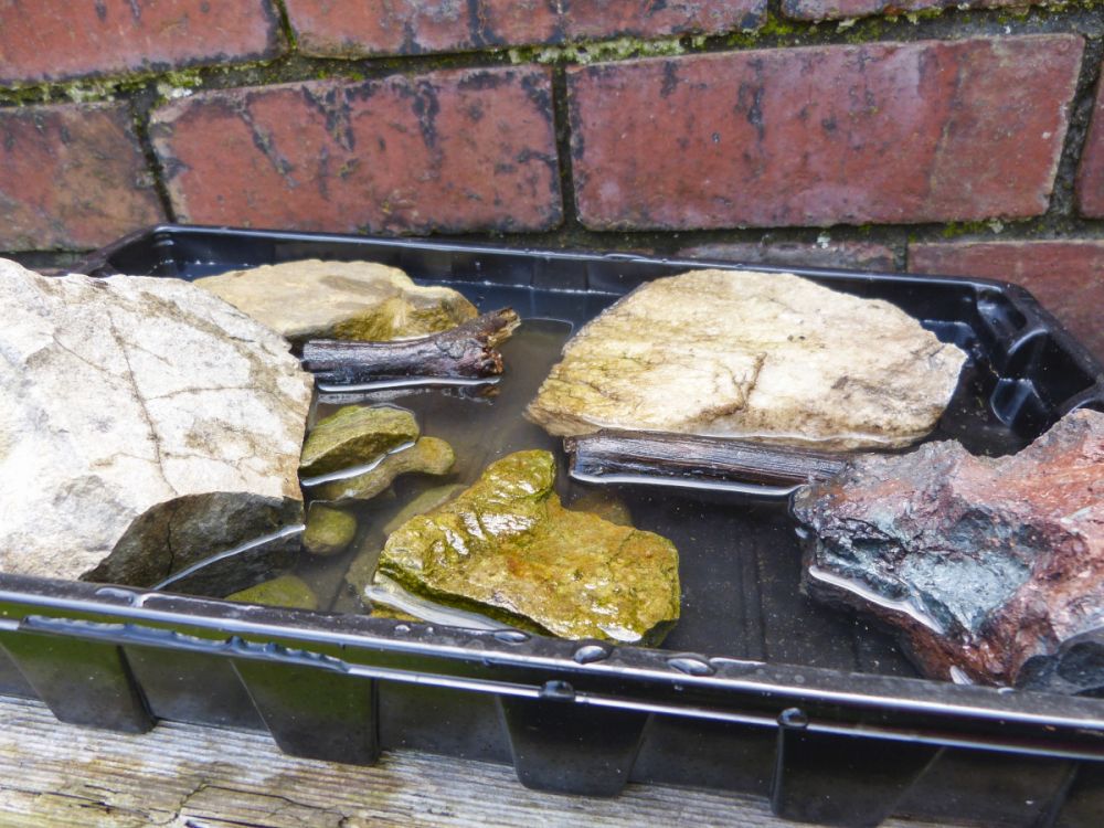 Water supply for bees underneath a homemade bee hotel