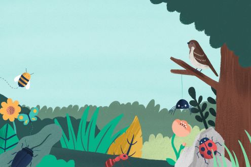 Nature illustration
