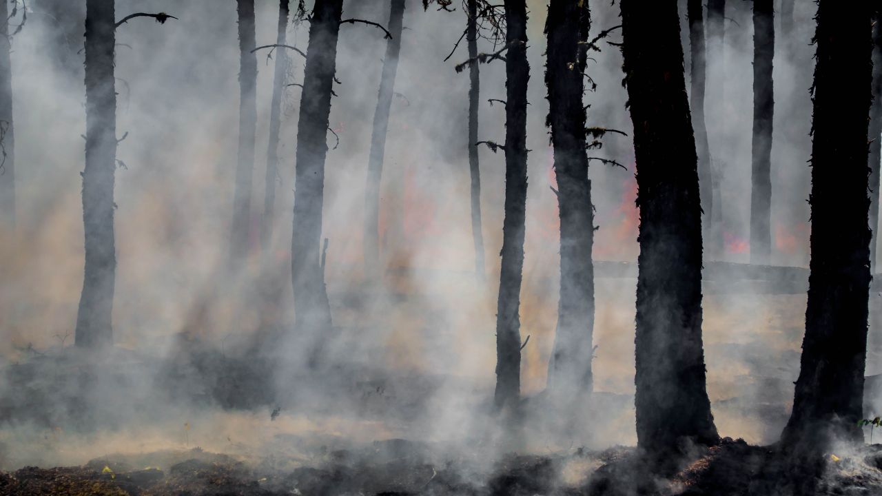 Smoke and glowing embers dominate the forest during the last of the flames of the Harding Fire in north east Saskatchewan