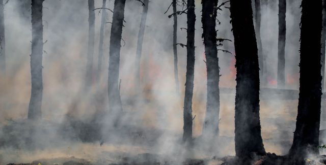 Smoke and glowing embers dominate the forest during the last of the flames of the Harding Fire in north east Saskatchewan