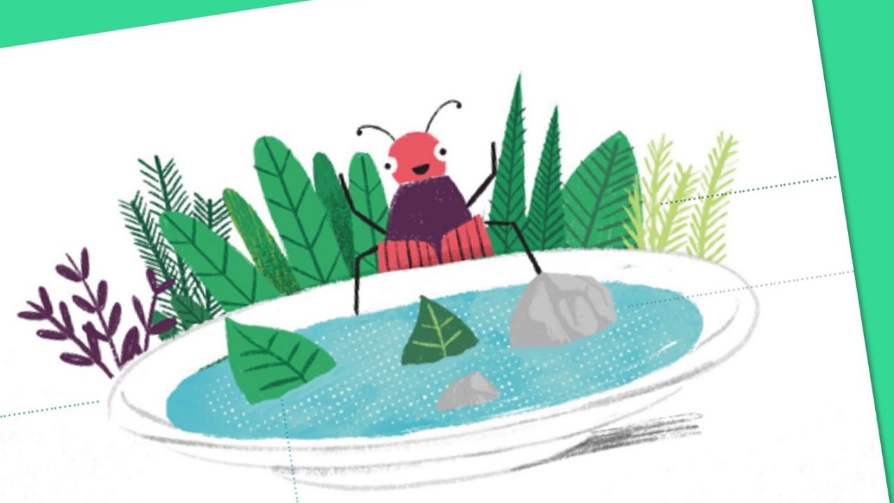 Make a drinking pond - Planet Protectors