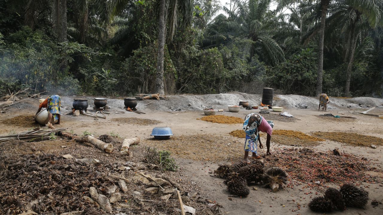 A group of women making palm oil in a forest clearing