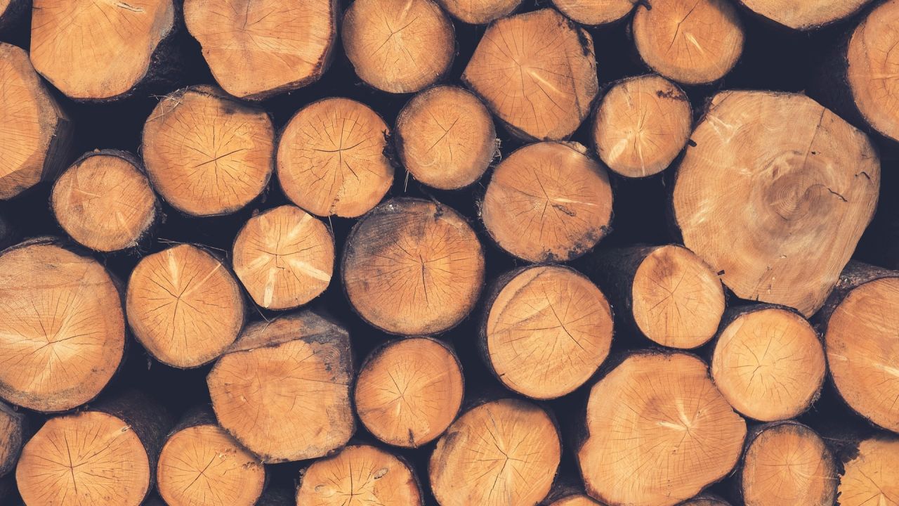 Photo of sawn timber pile
