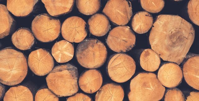 Photo of sawn timber pile