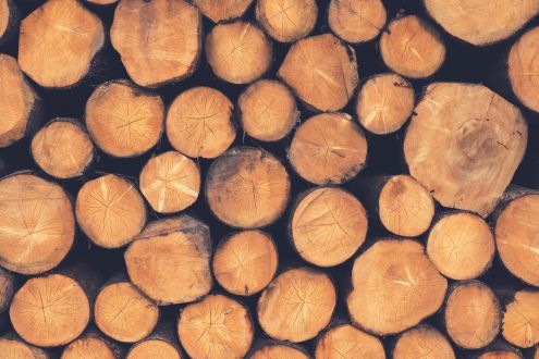 Photo of sawn timber pile