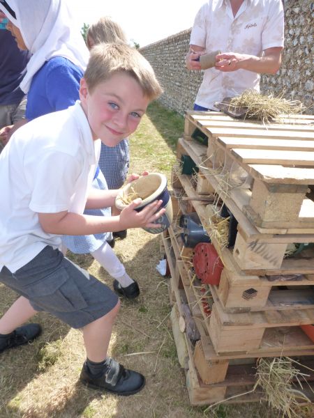 Woodingdean Primary School - child making bug hotel 