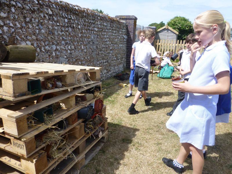 Woodingdean Primary School - child making bug hotel