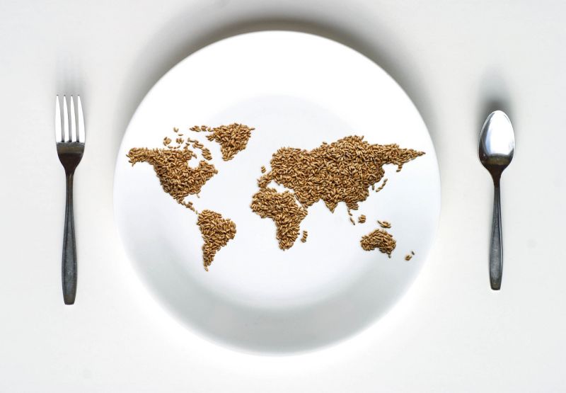 World map of brown rice on plate