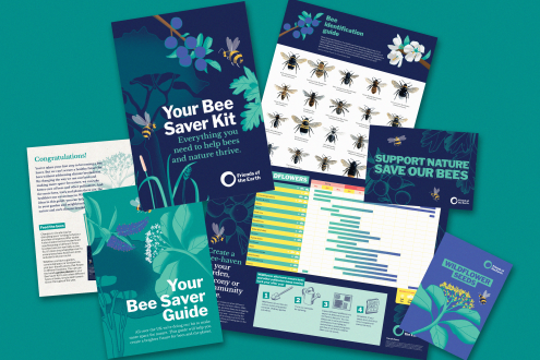 Picture of Bee Saver Kit 2021