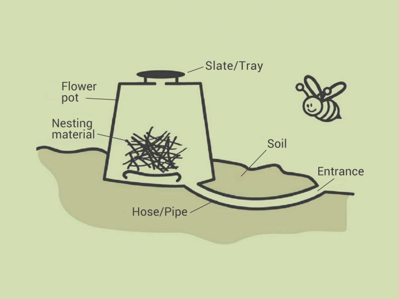 illustration of bee hotel