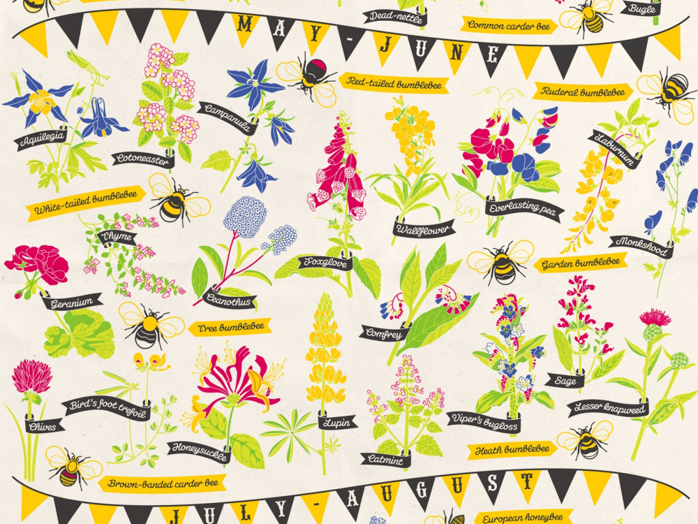 Bee friendly in your garden - tea towel
