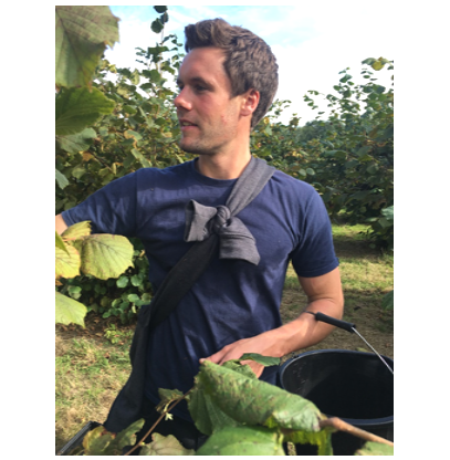 Charles Tebbutt at work in a hazel orchard