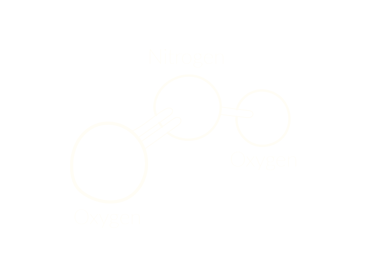 illustration of nitrogen dioxide structure