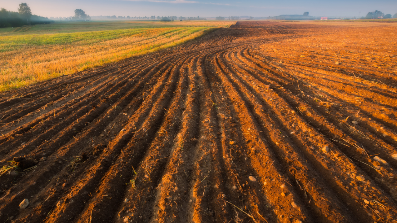 Ploughed field awaiting crop planting, under bright blue sky