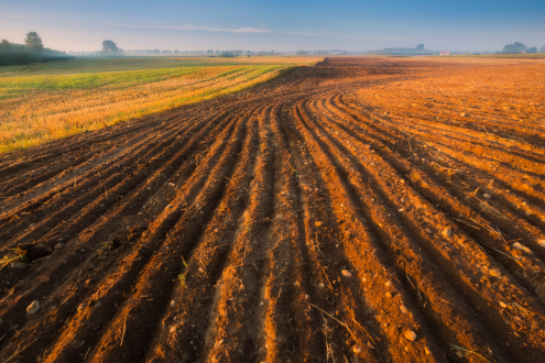 Ploughed field awaiting crop planting, under bright blue sky