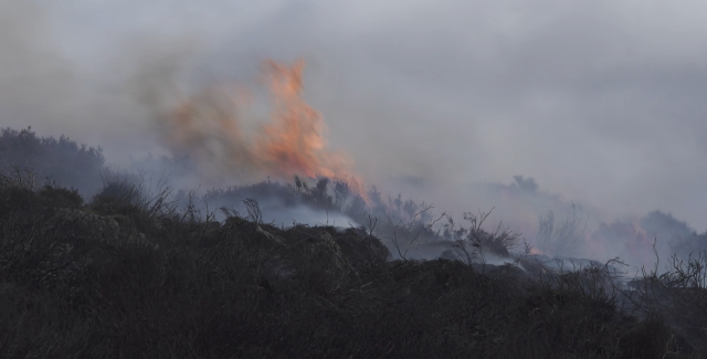 Photo of moorland in flames
