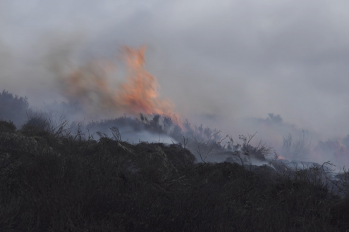 Photo of moorland in flames