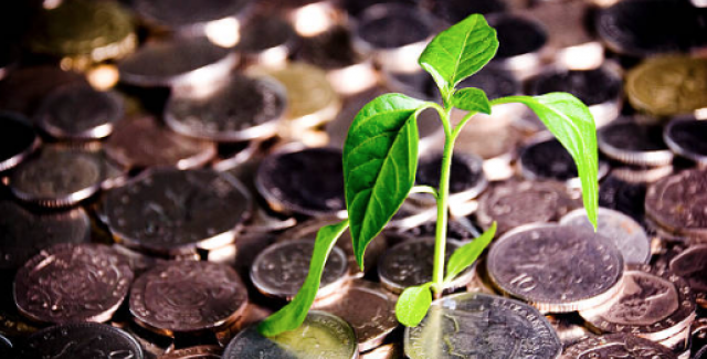 Money and plant