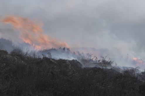 Photo of moorland in flames, Yorkshire Dales, 2018