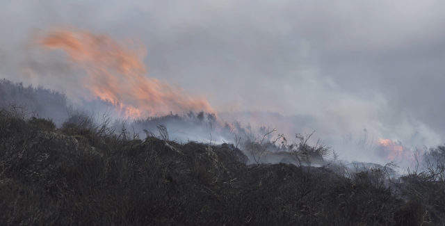 Photo of moorland in flames, Yorkshire Dales, 2018