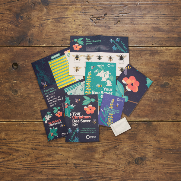 A range of bee-related products arranged on a wooden table, including wildflower seeds and a bee identification kit